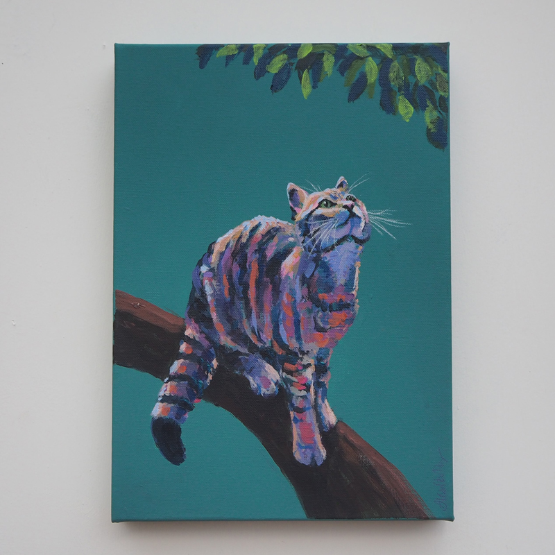 Colourful Wildcat on Tree