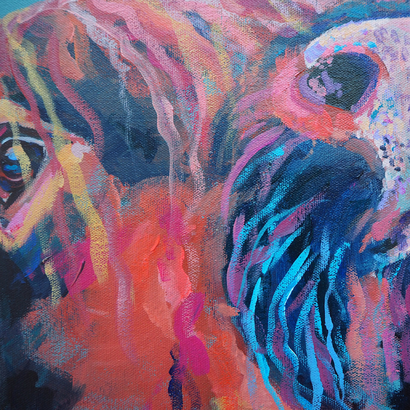 Highland Cow Canvas Painting