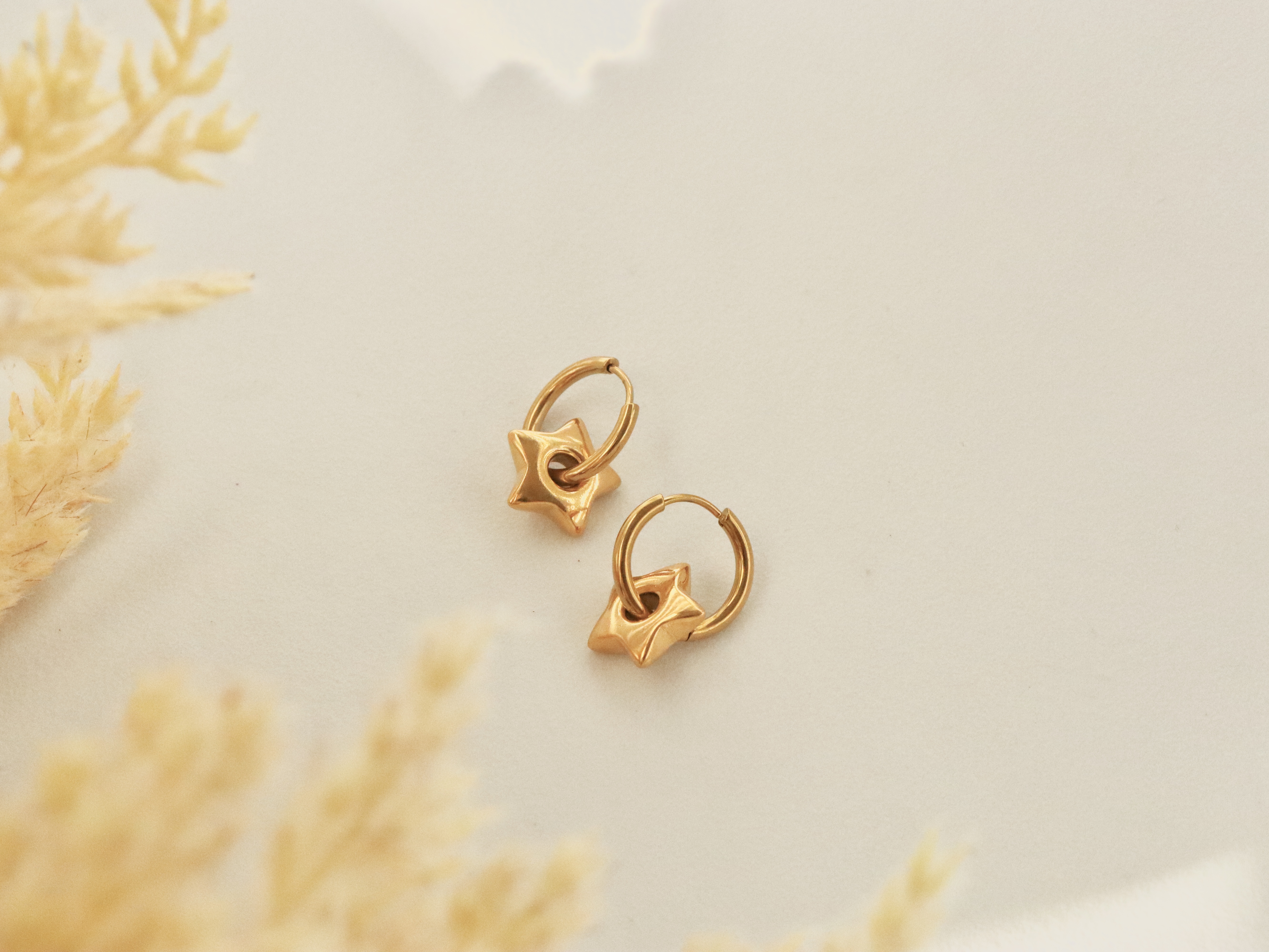  Star Hoop Earrings