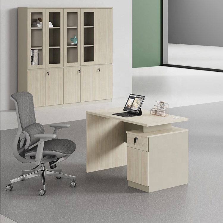 Modern Ergonomic Office Desk