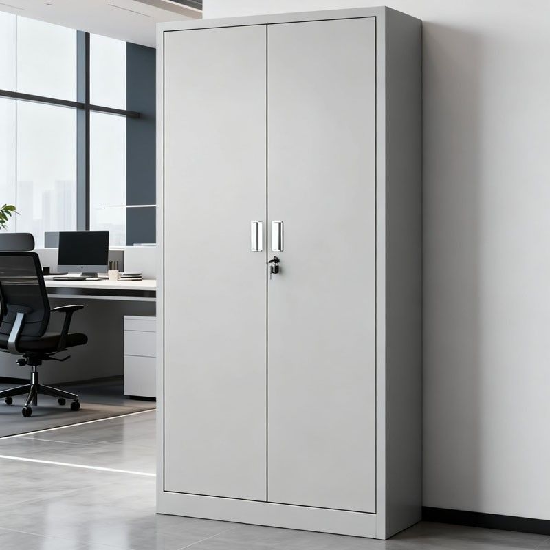 Grey 2 Door Metallic Cabinet
