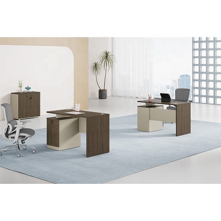 Modern Ergonomic Office Desk