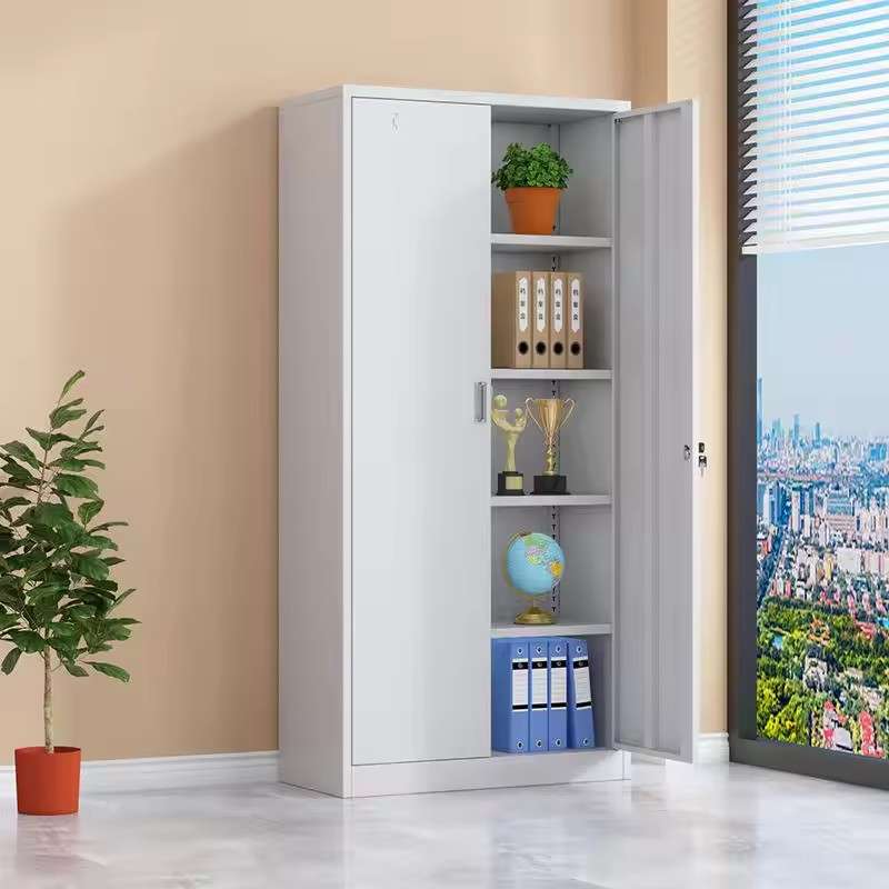 Grey 2 Door Metallic Cabinet