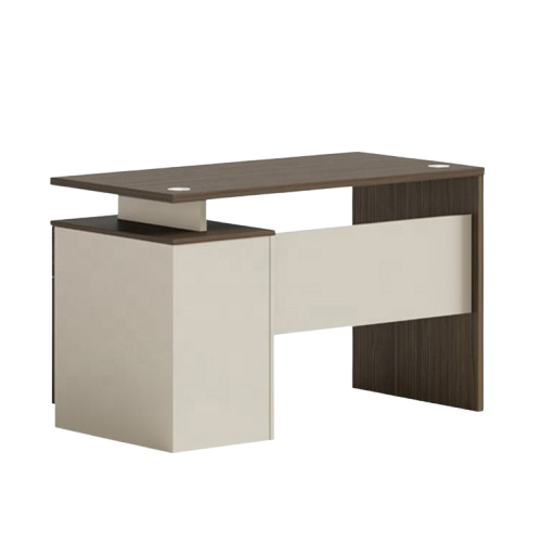 Modern Ergonomic Office Desk
