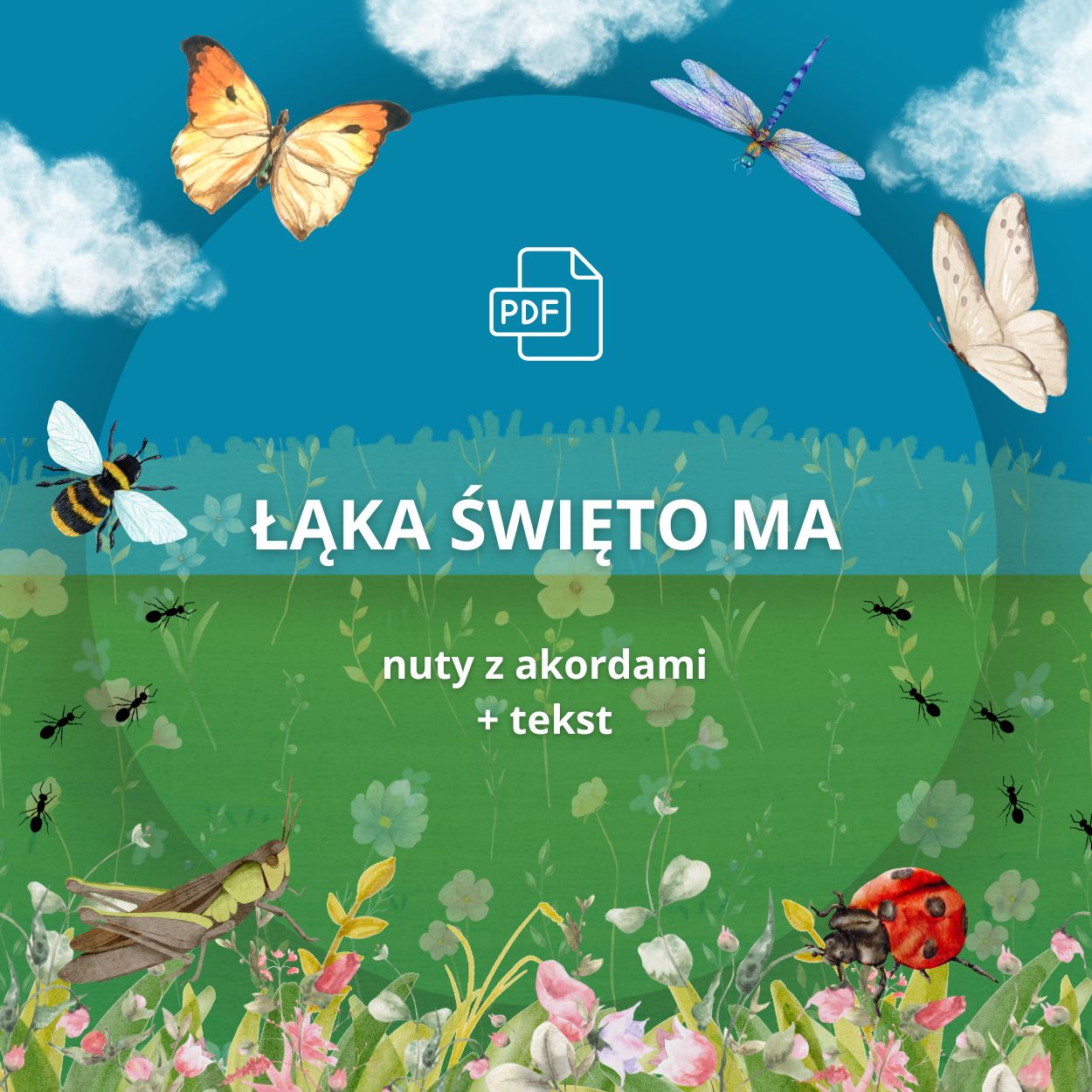 ŁĄKA ŚWIĘTO MA