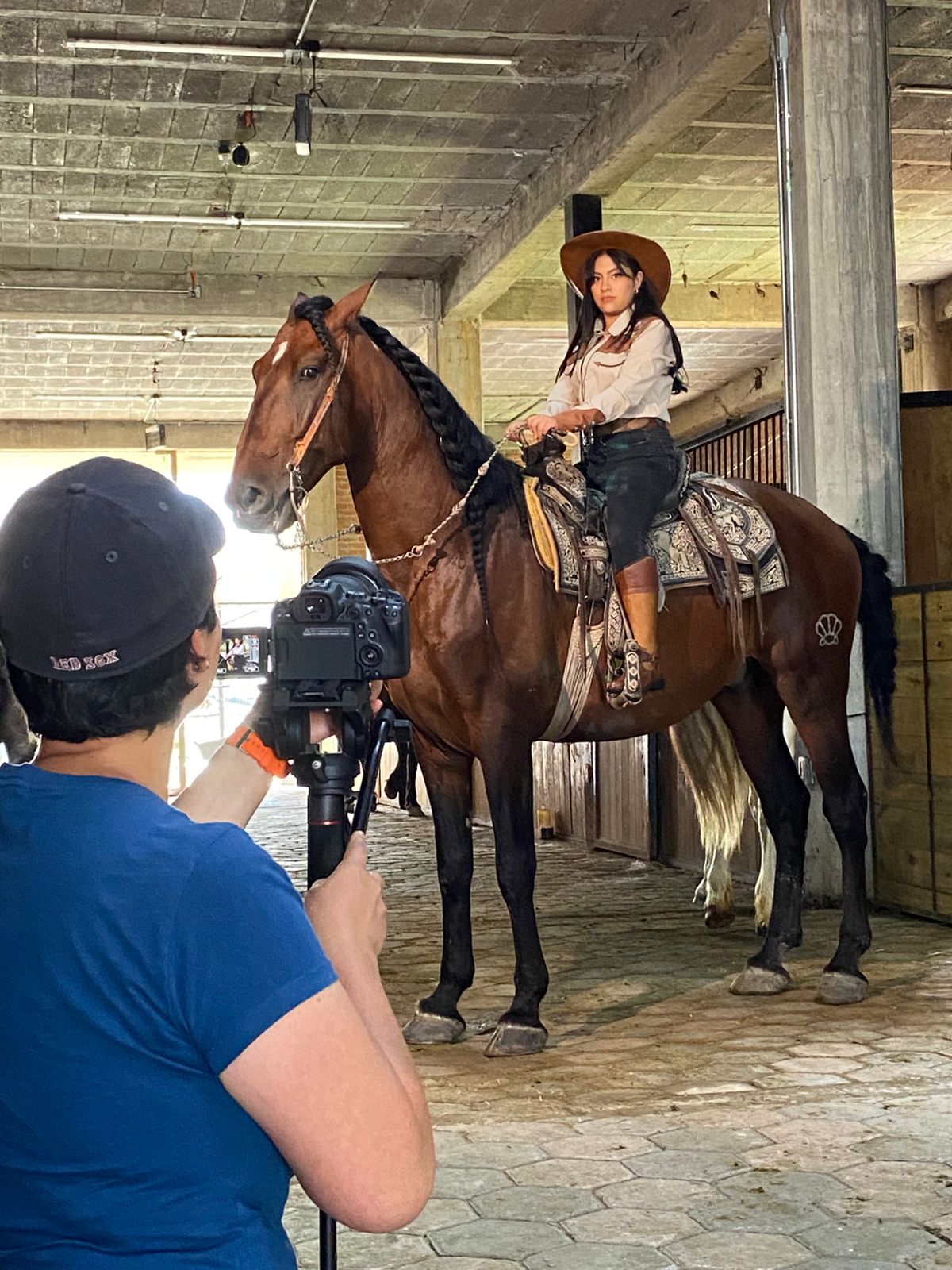 Paquete 2 SESIONES FOTOGRÁFICAS  – Captura momentos únicos junto a caballos espectaculares