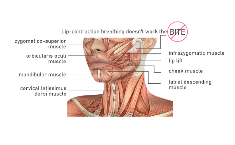 Breathing Dumbbell