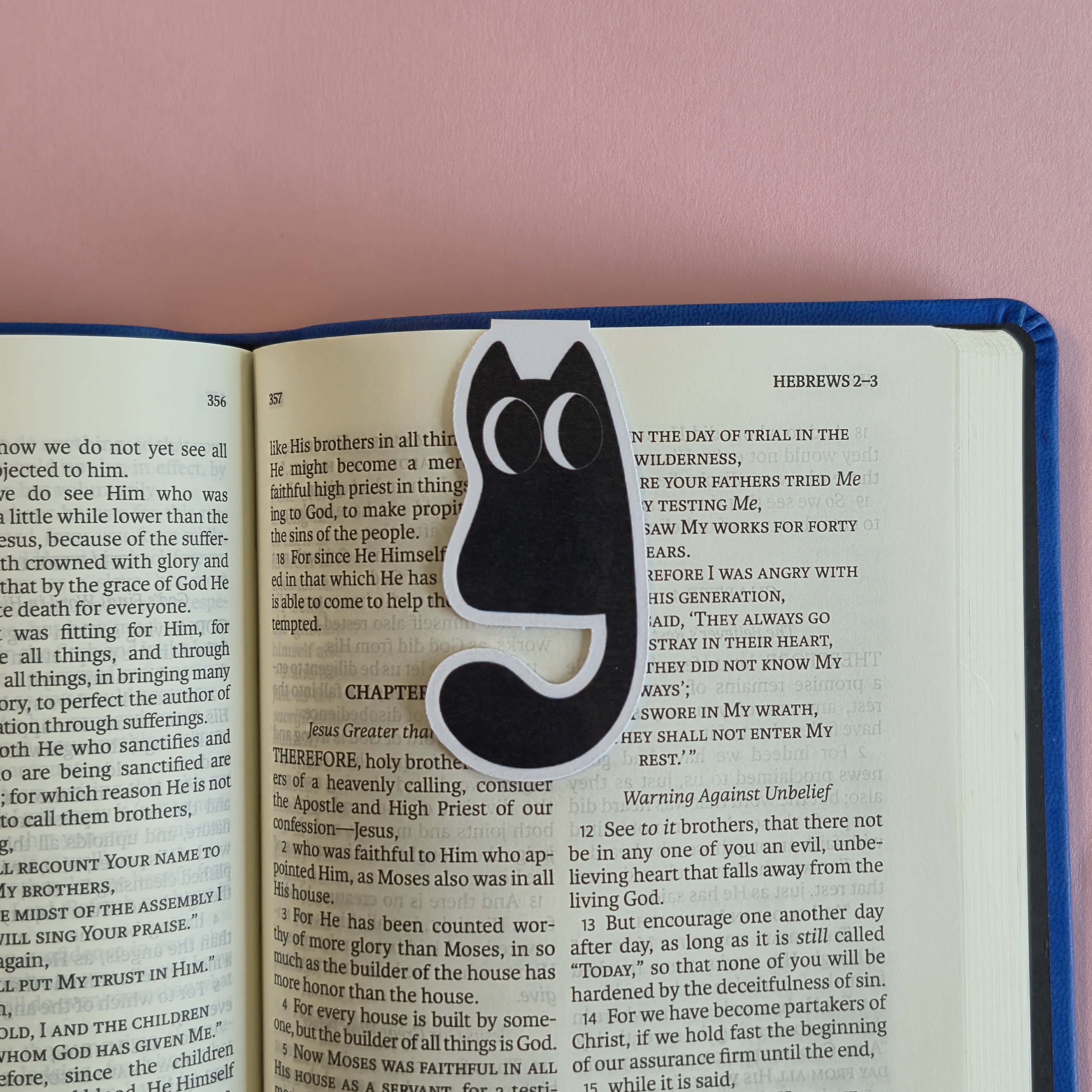 Black Cat Magnetic Bookmark