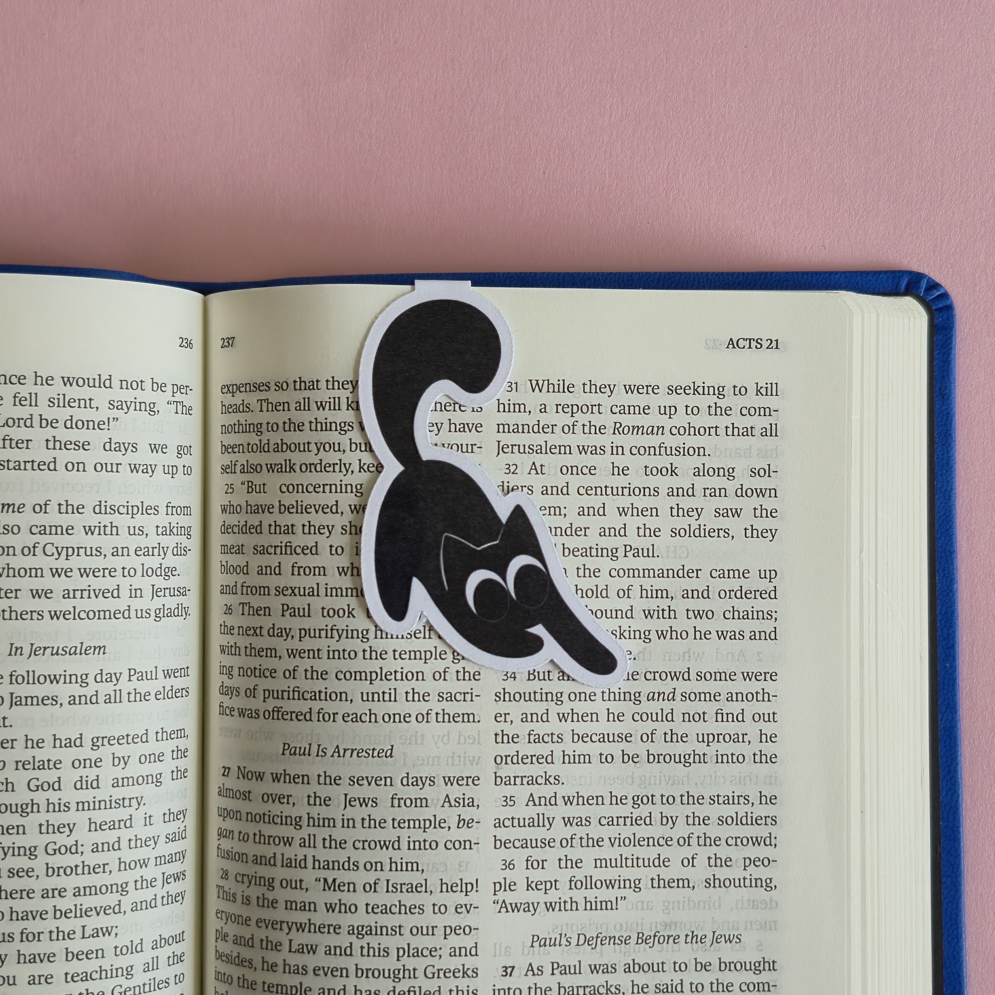 Playful Black Kitten Magnetic Bookmark