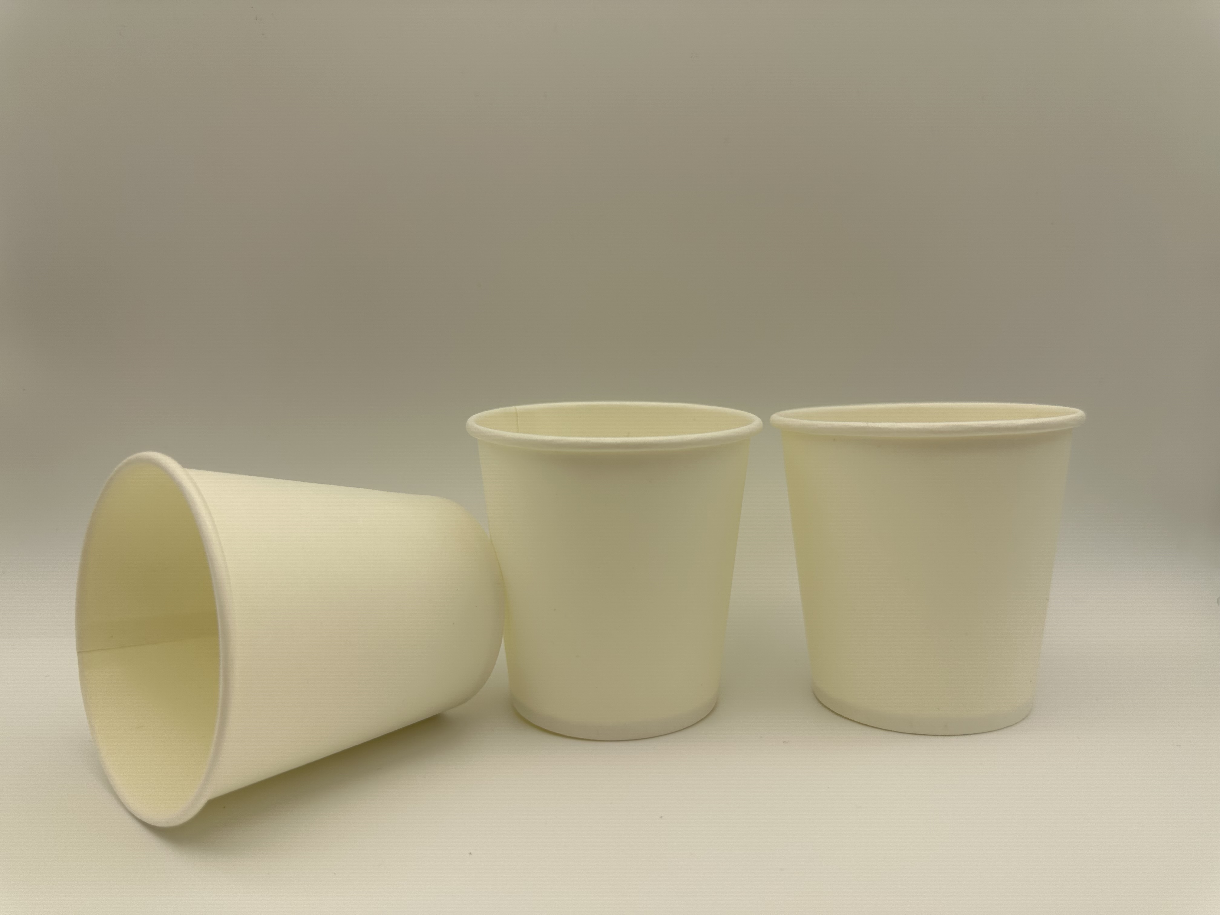 6OZ Disposable Paper Cups