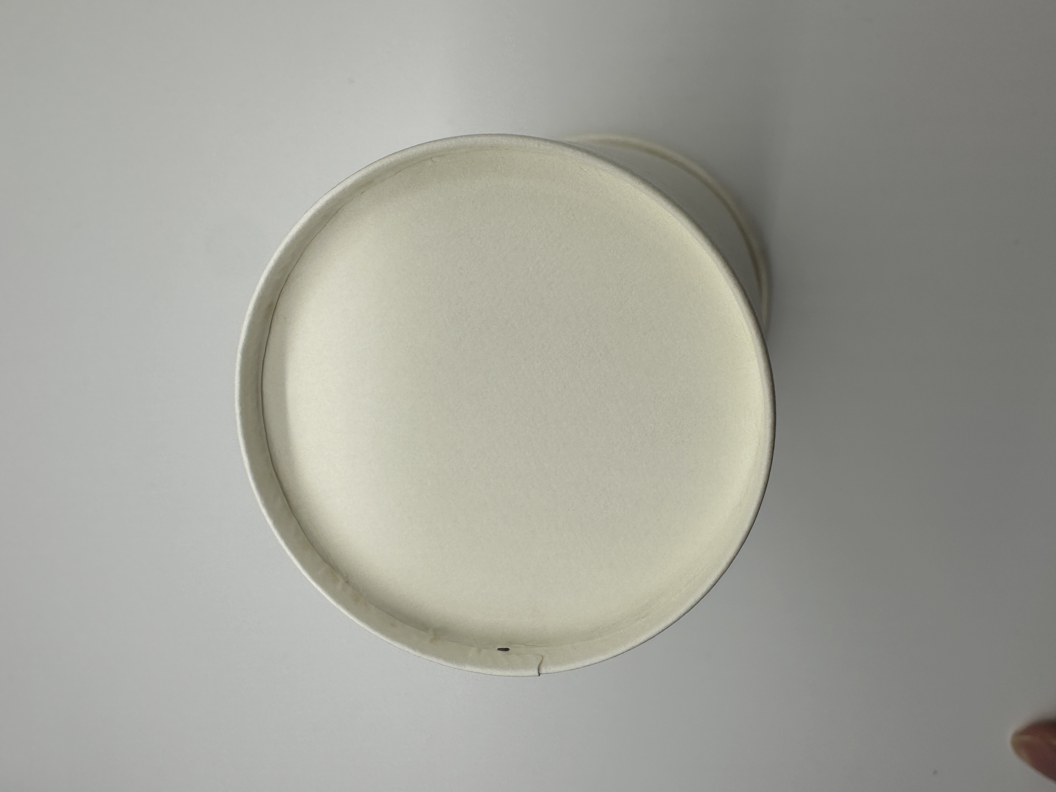 12oz Disposable Paper Cups