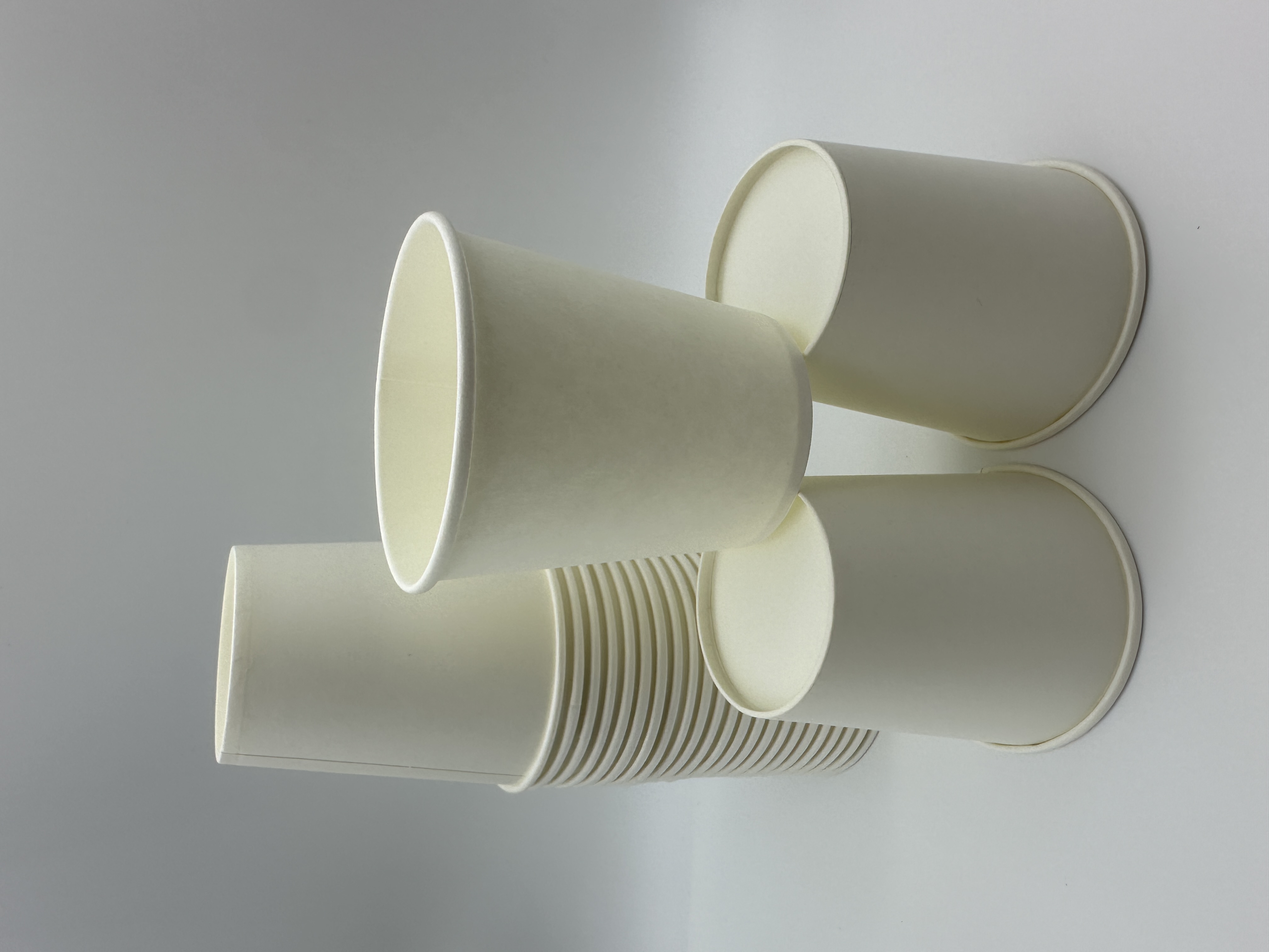 6OZ Disposable Paper Cups