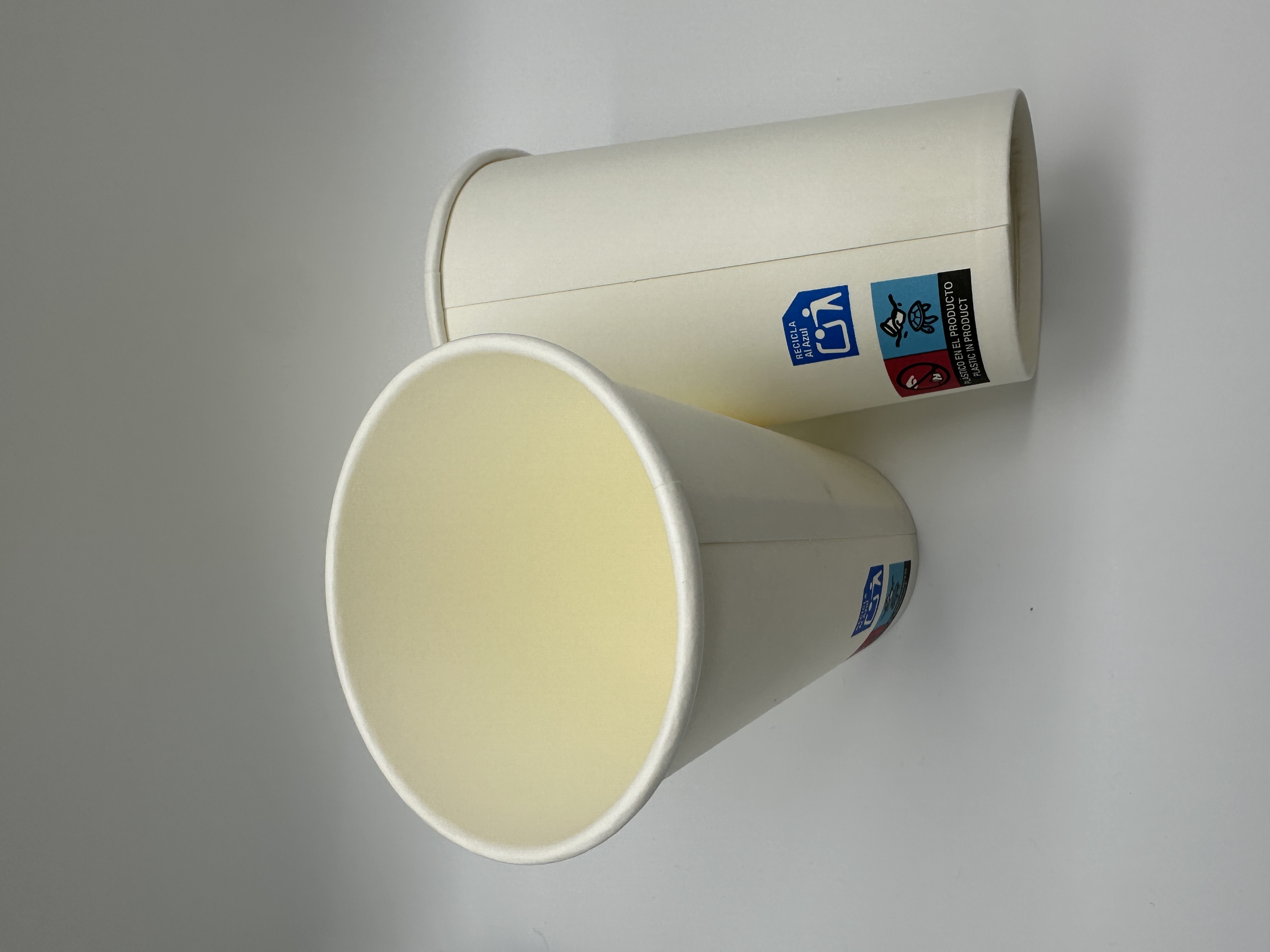 12oz Disposable Paper Cups