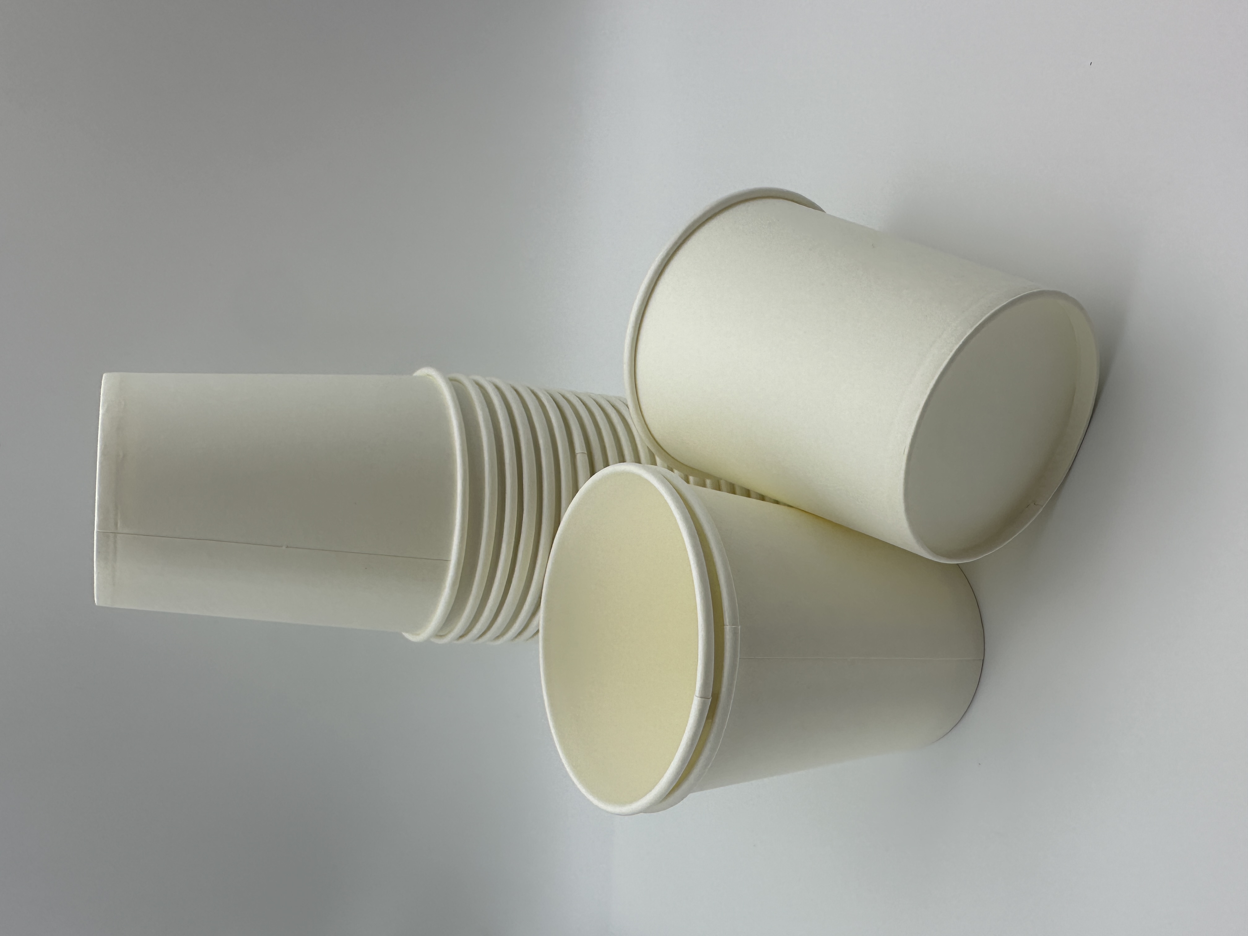 6OZ Disposable Paper Cups