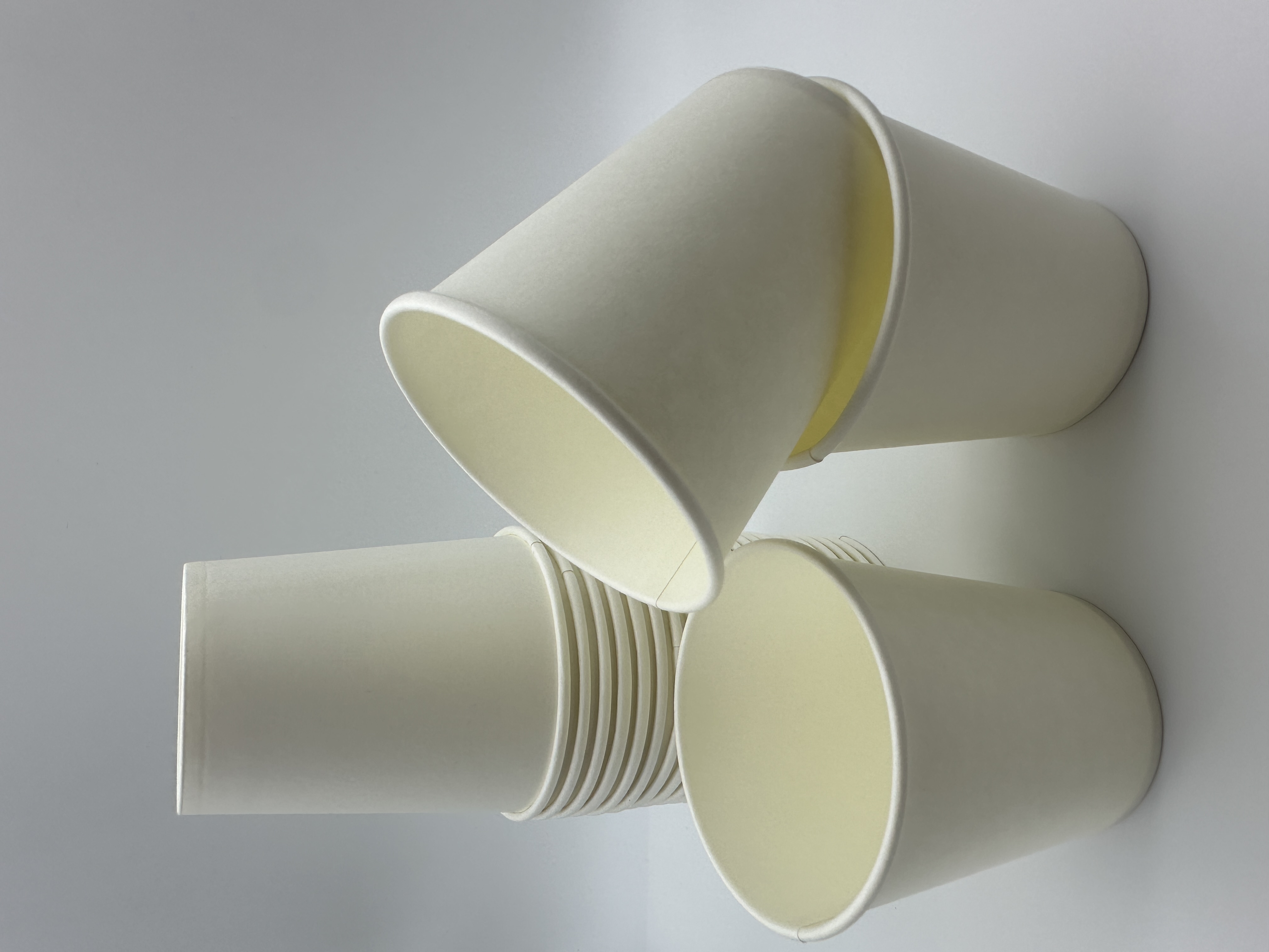 6OZ Disposable Paper Cups