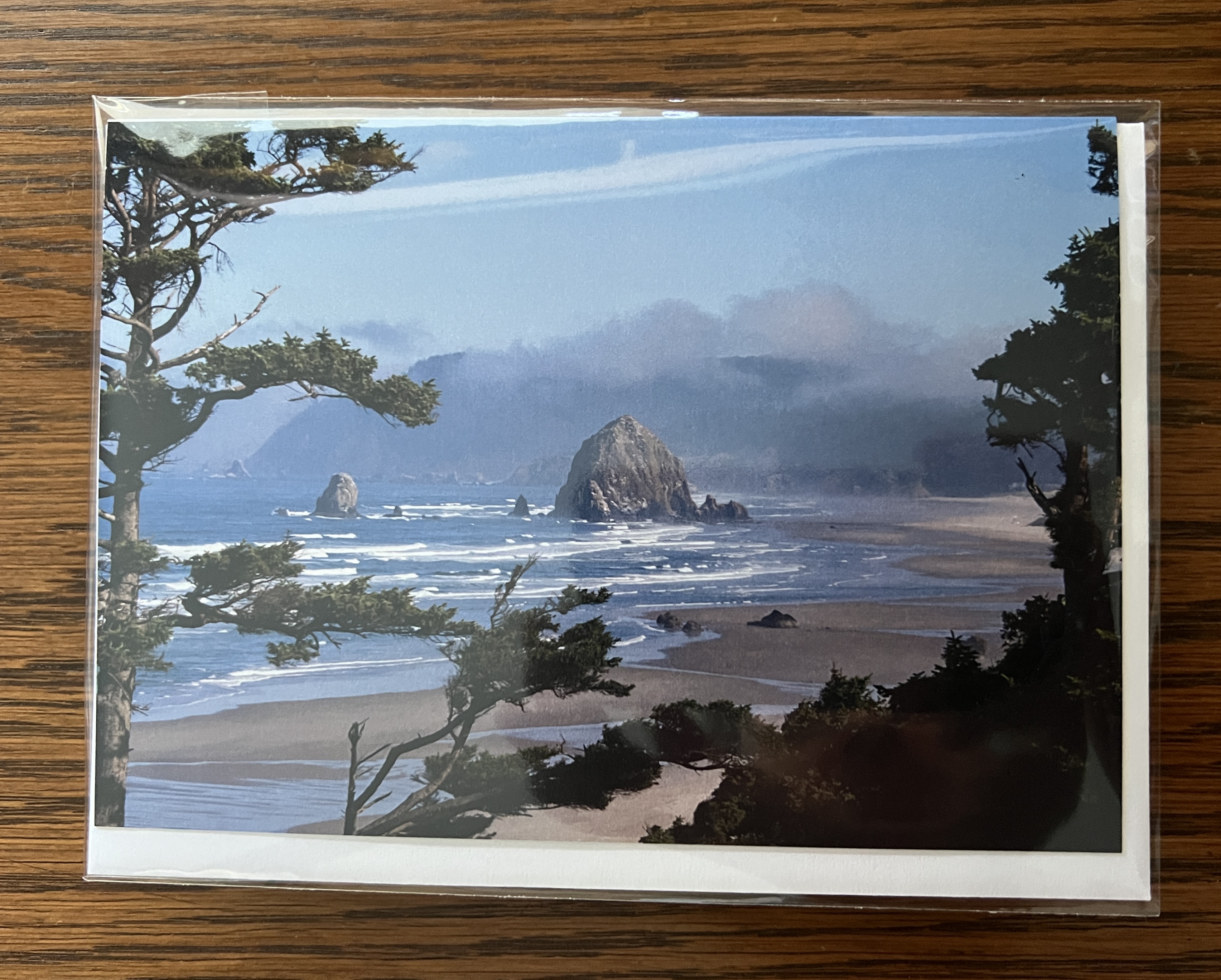 Haystack Rock Postcard