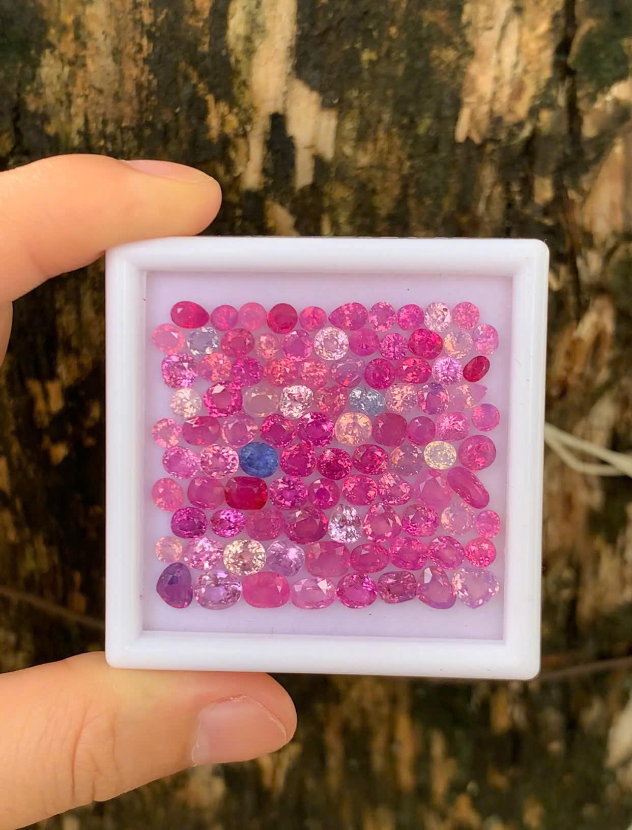 Natural Milky Pink Sapphire Gemstones