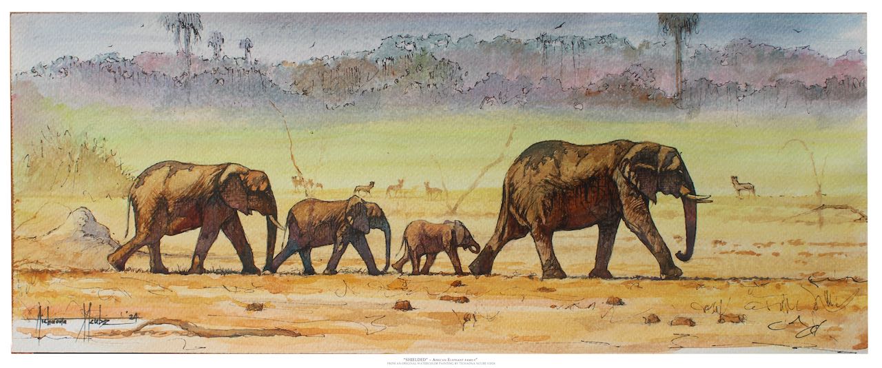 Elephant Family Watercolor Painting