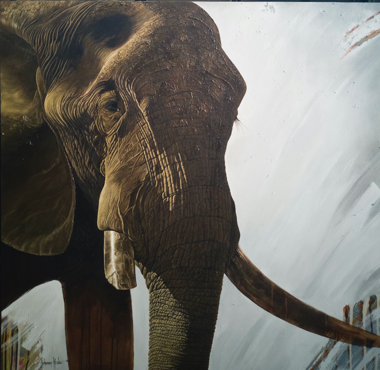 'Jock' Majestic Elephant 