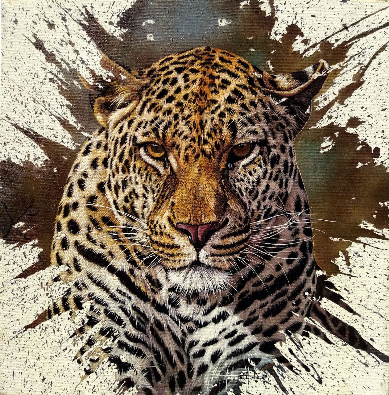 Rare Observer Leopard Portrait
