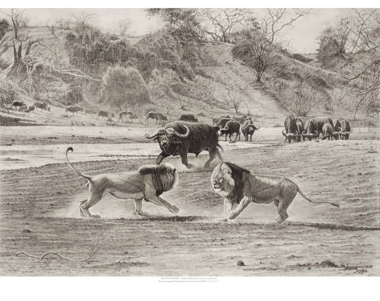 Battles Chitake Wildlife Print