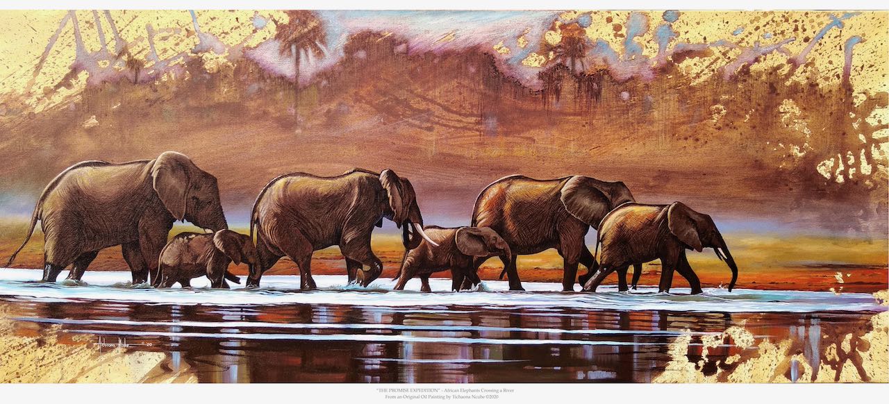 The Promise Expedition Elephants