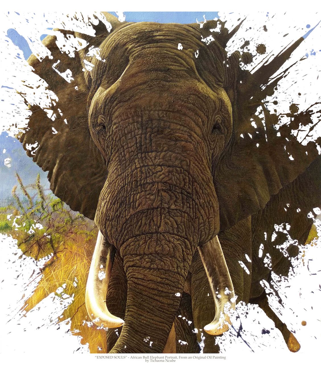 Exposed Souls Elephant Portrait