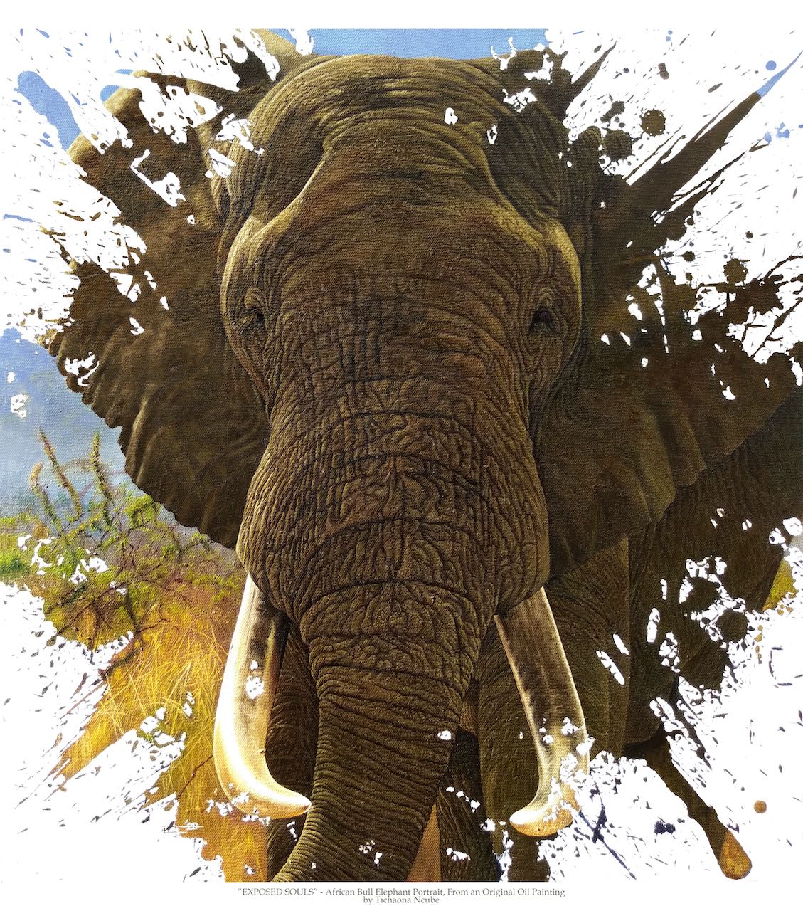 Exposed Souls Elephant Portrait