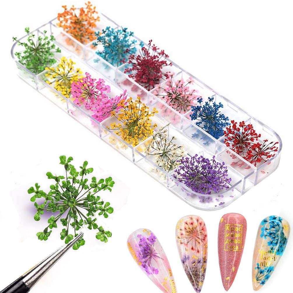 Natural Dried Flower Nail Art Supplies – Real Pressed Floral Decor (Multicolor Kit)