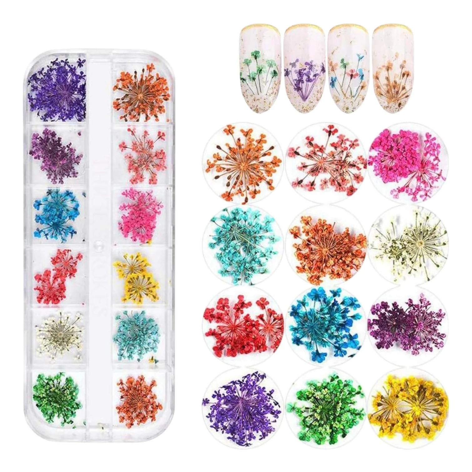 Natural Dried Flower Nail Art Supplies – Real Pressed Floral Decor (Multicolor Kit)