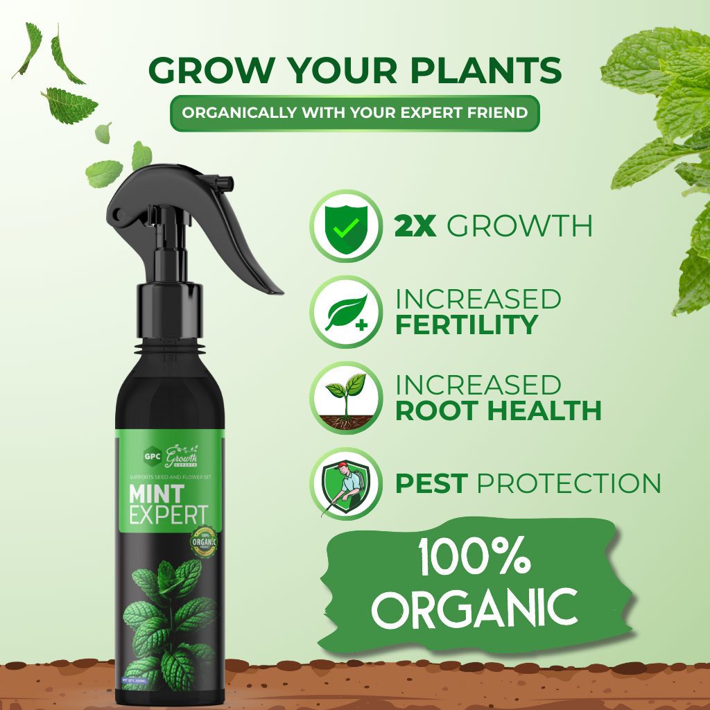 Mint Plant Expert