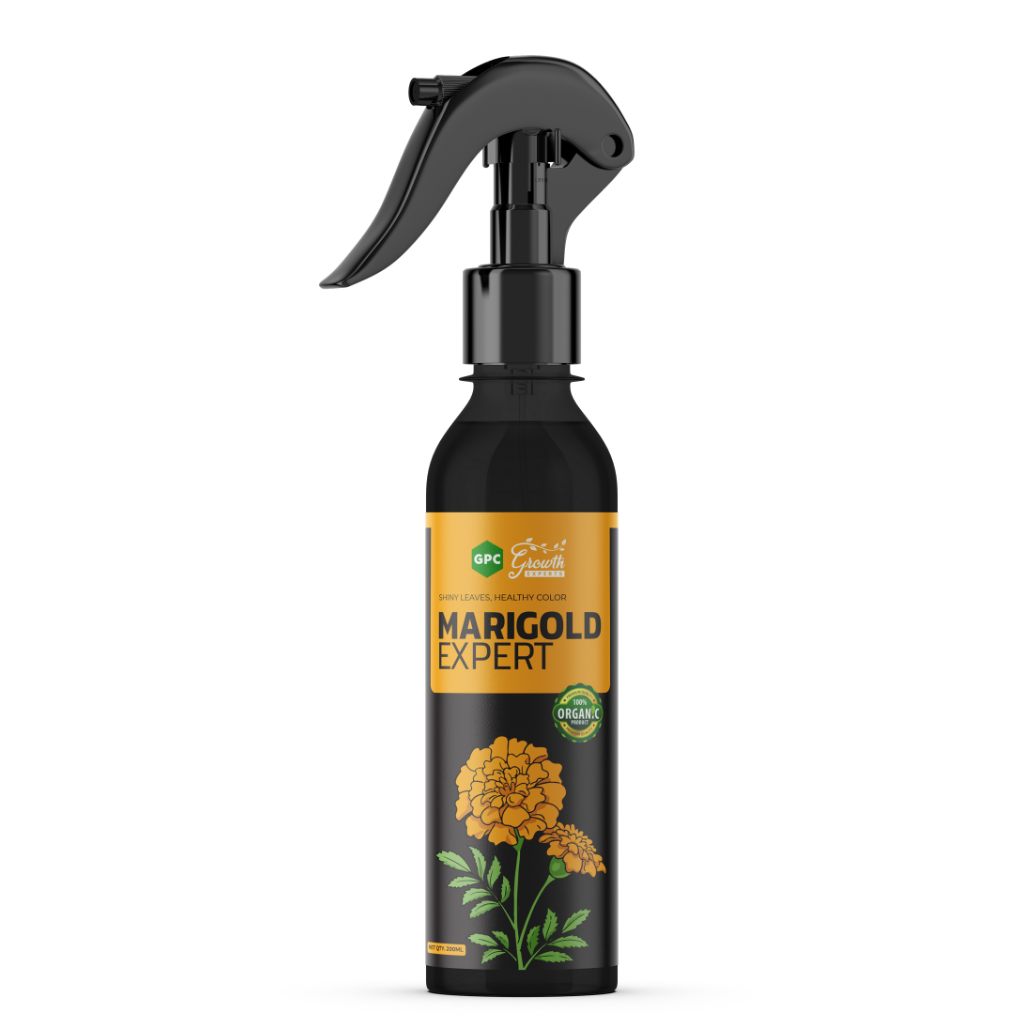 Marigold Expert Plant