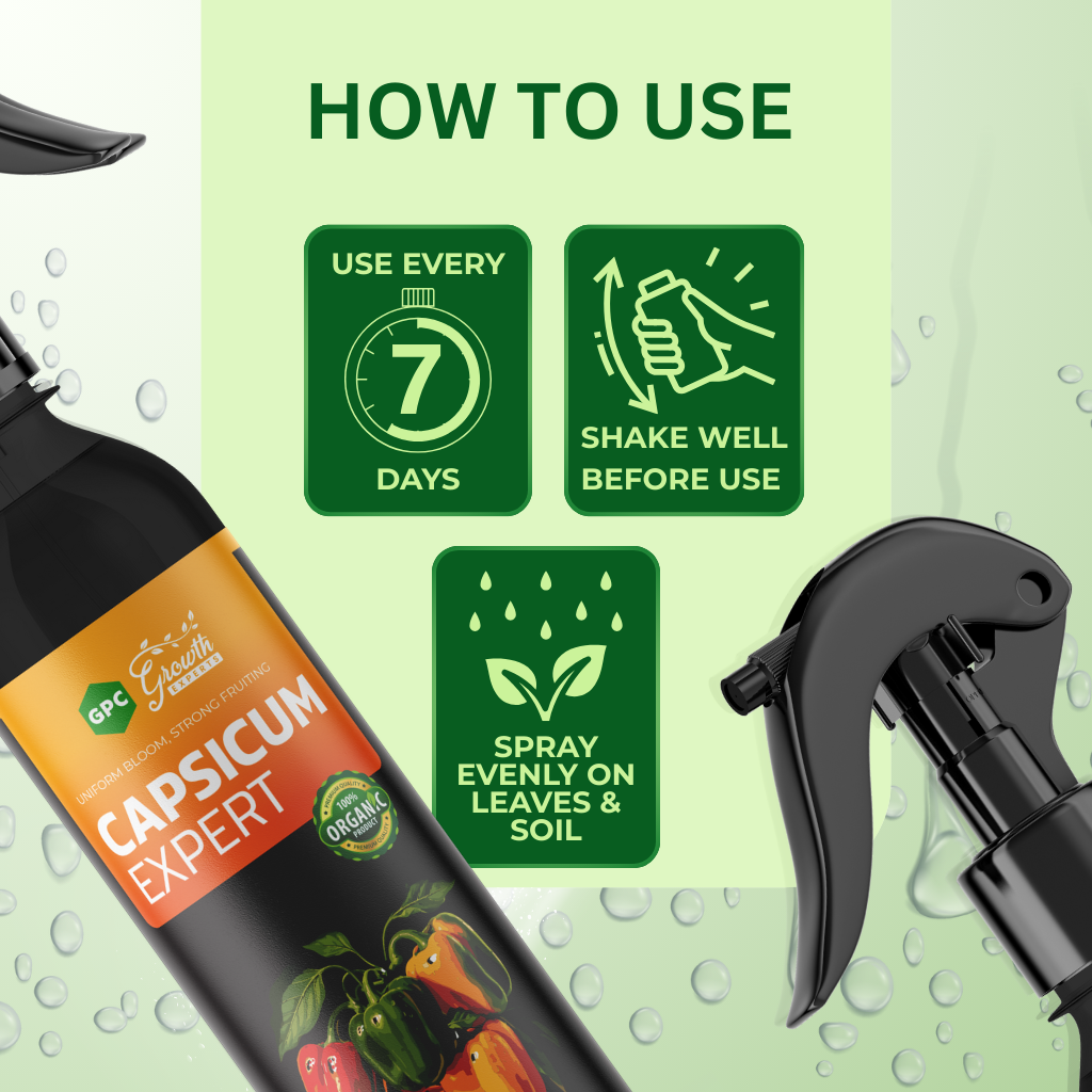 Capsicum Expert 