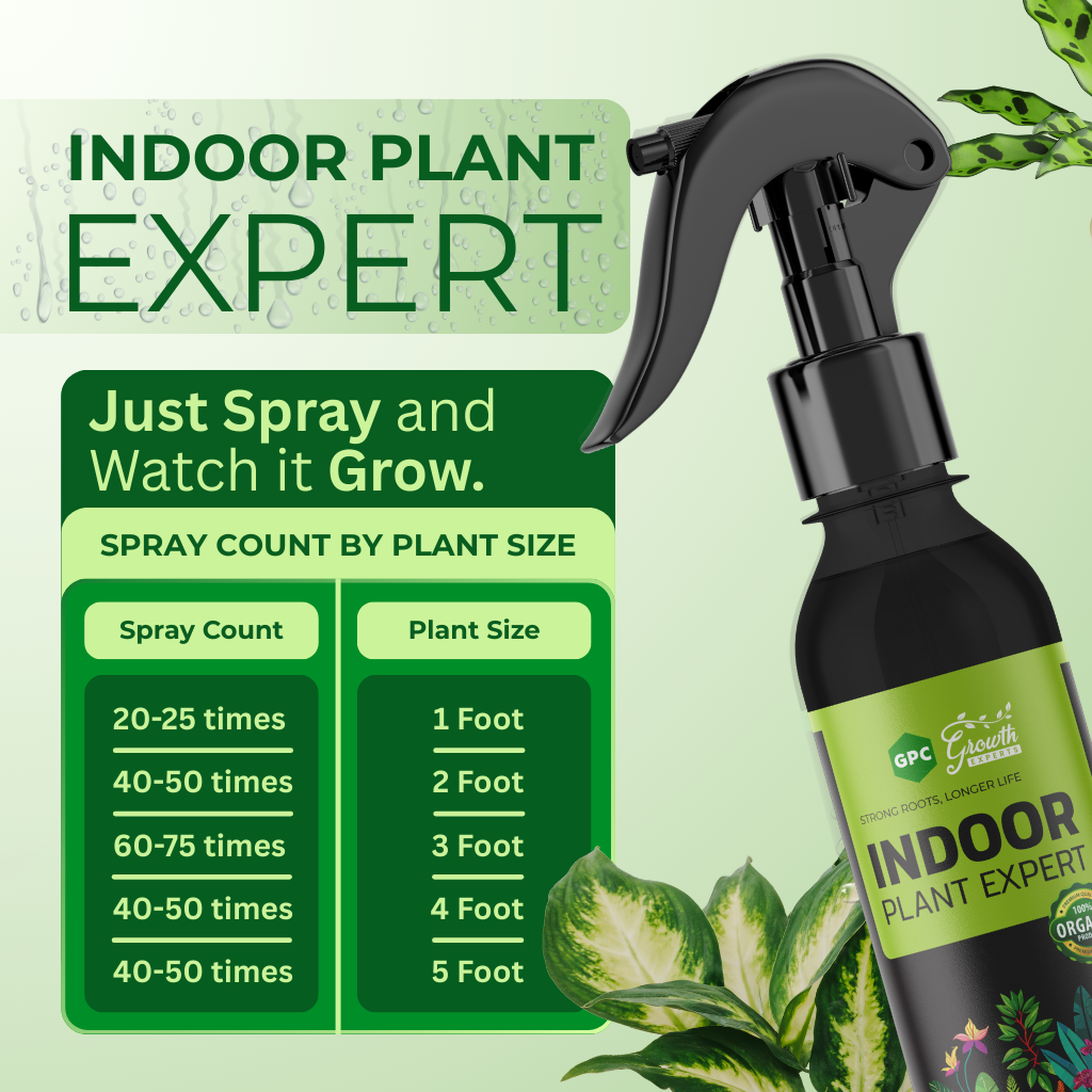 Indoor Plant Expert