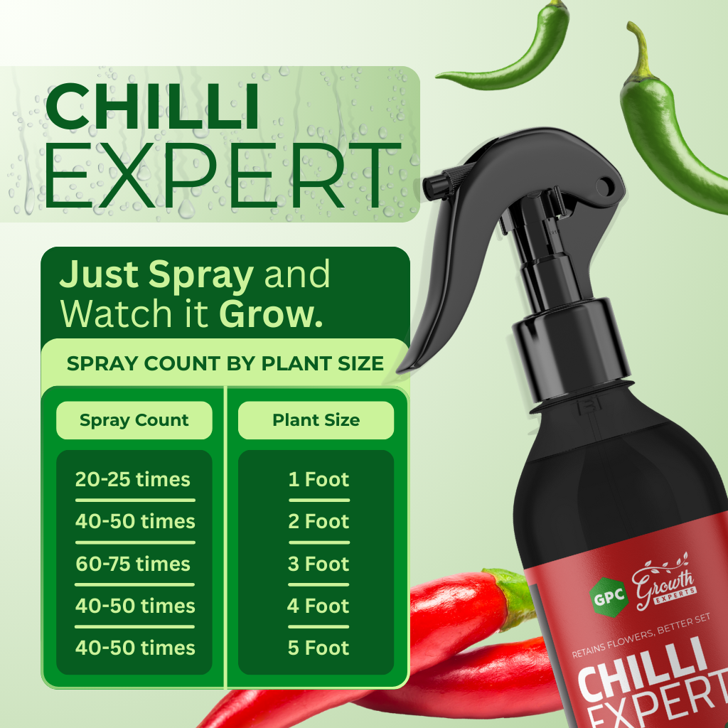Chilli Expert