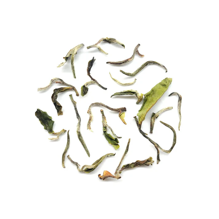 Rohini Spring White Tea