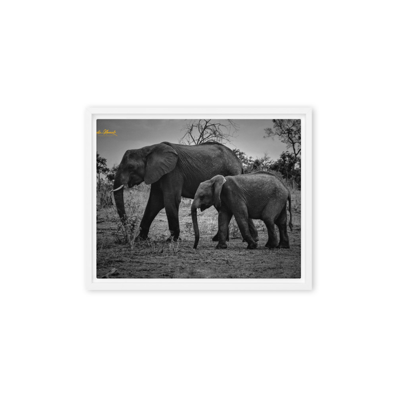 Mentoring Mother Elephant Print