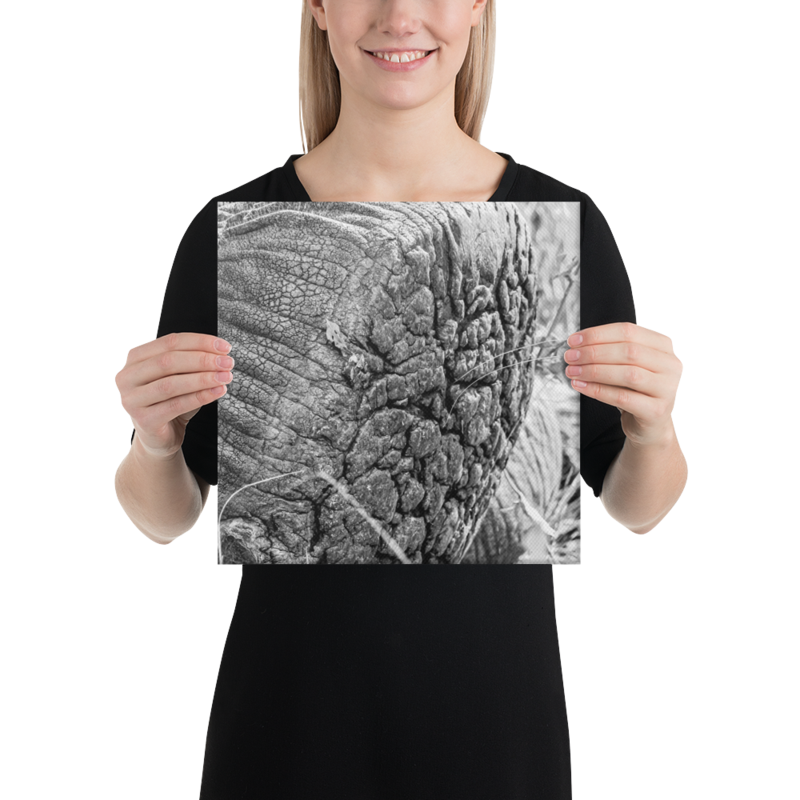 Dancing Shoes Elephant FootPrint on Canvas