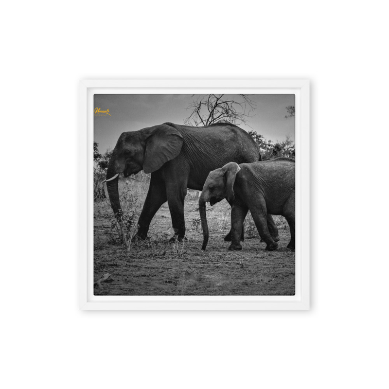 Mentoring Mother Elephant Print