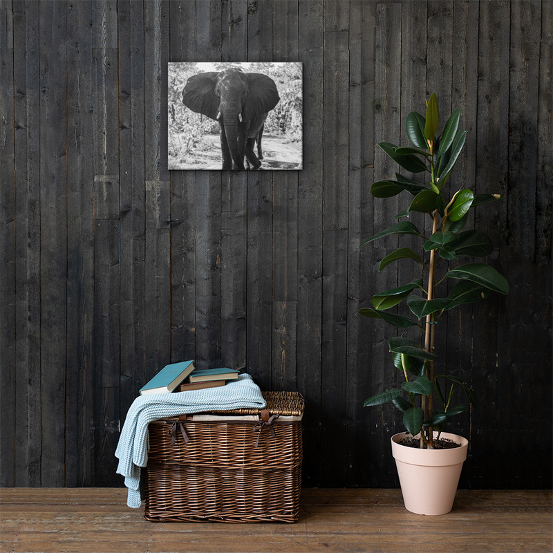 Casual Stance Elephant Print on Canvas