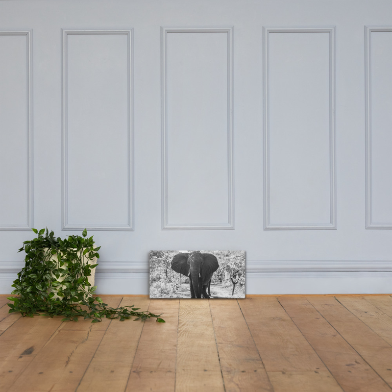 Casual Stance Elephant Print on Canvas