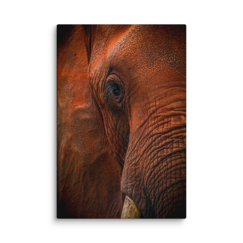 Matriachal Headshot Elephant Print on Canvas