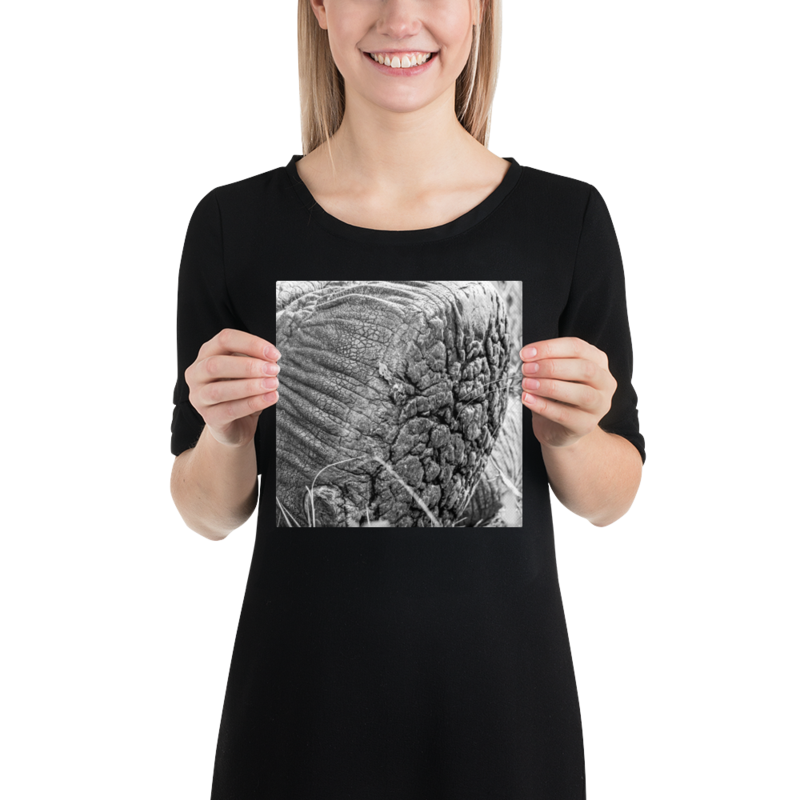 Dancing Shoes Elephant FootPrint on Canvas
