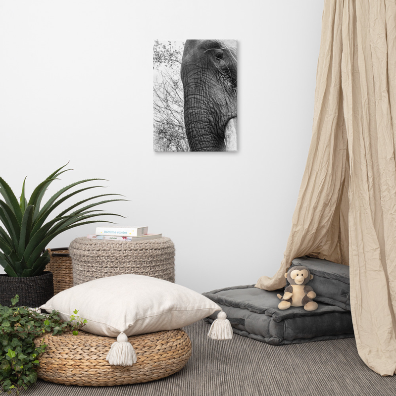 The All Father Elephant Print on Canvas