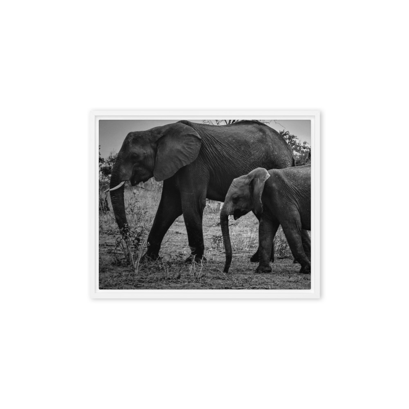 Mentoring Mother Elephant Print