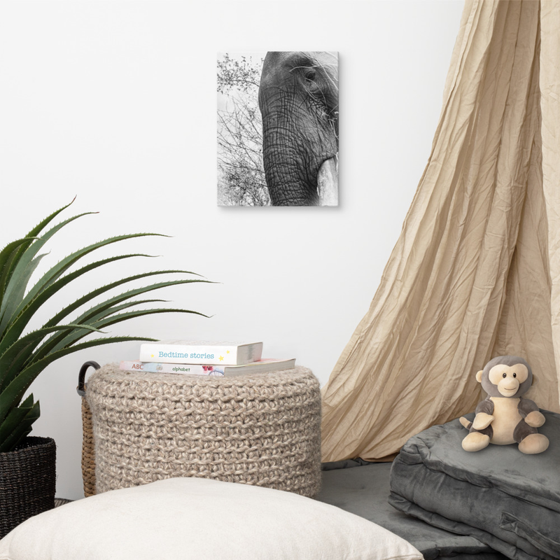 The All Father Elephant Print on Canvas