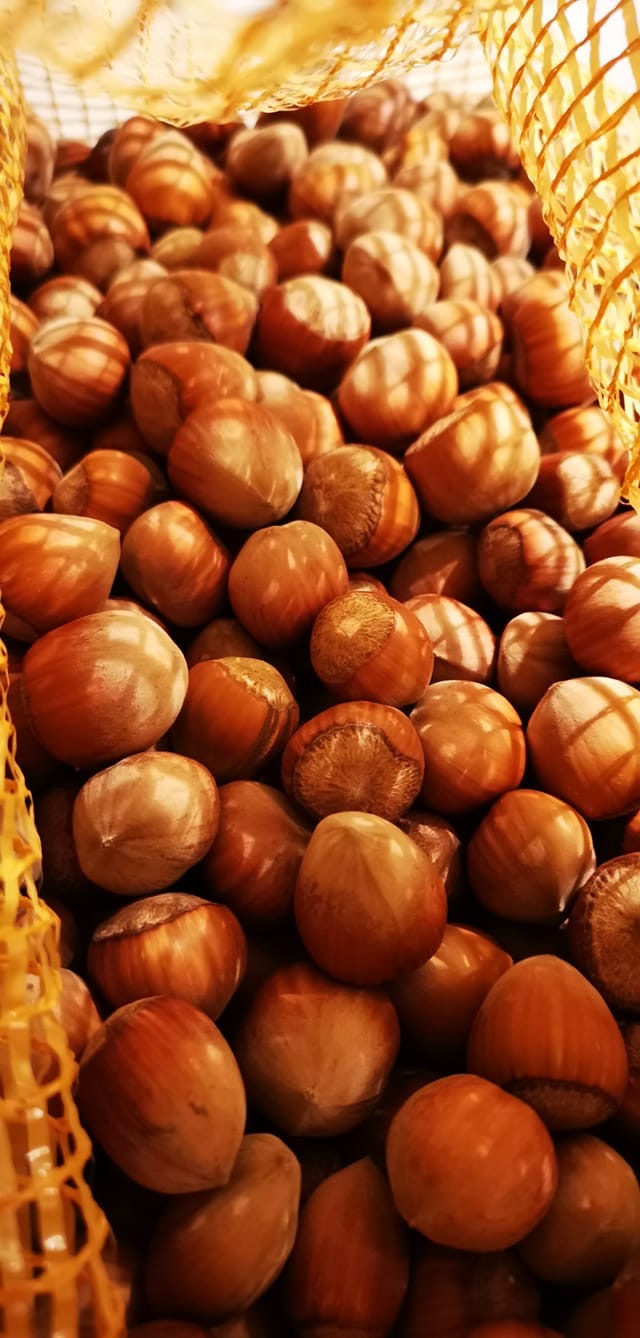 Rudi lazdyno riešutai 3kg.
