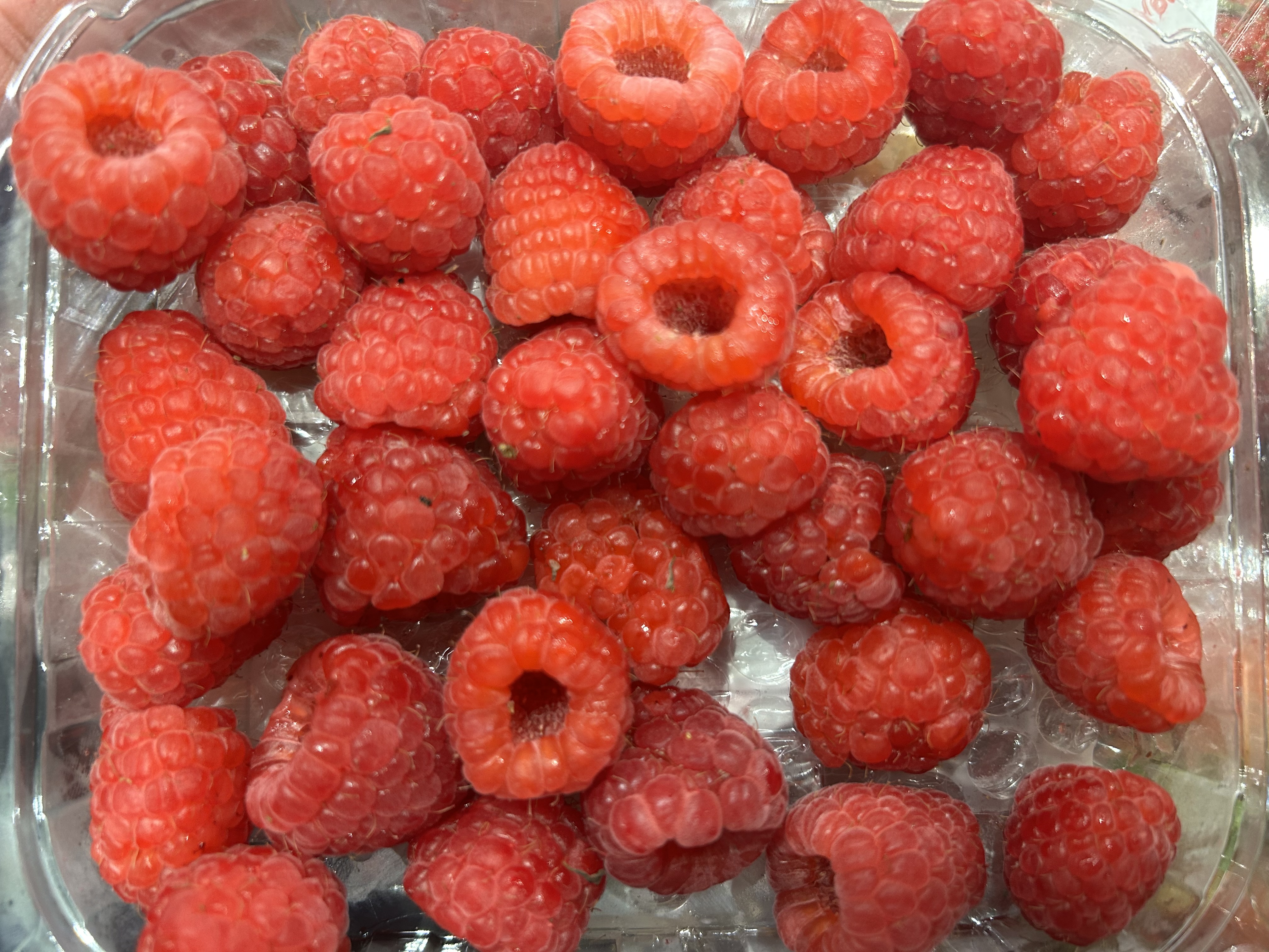 Fresh Raspberries
