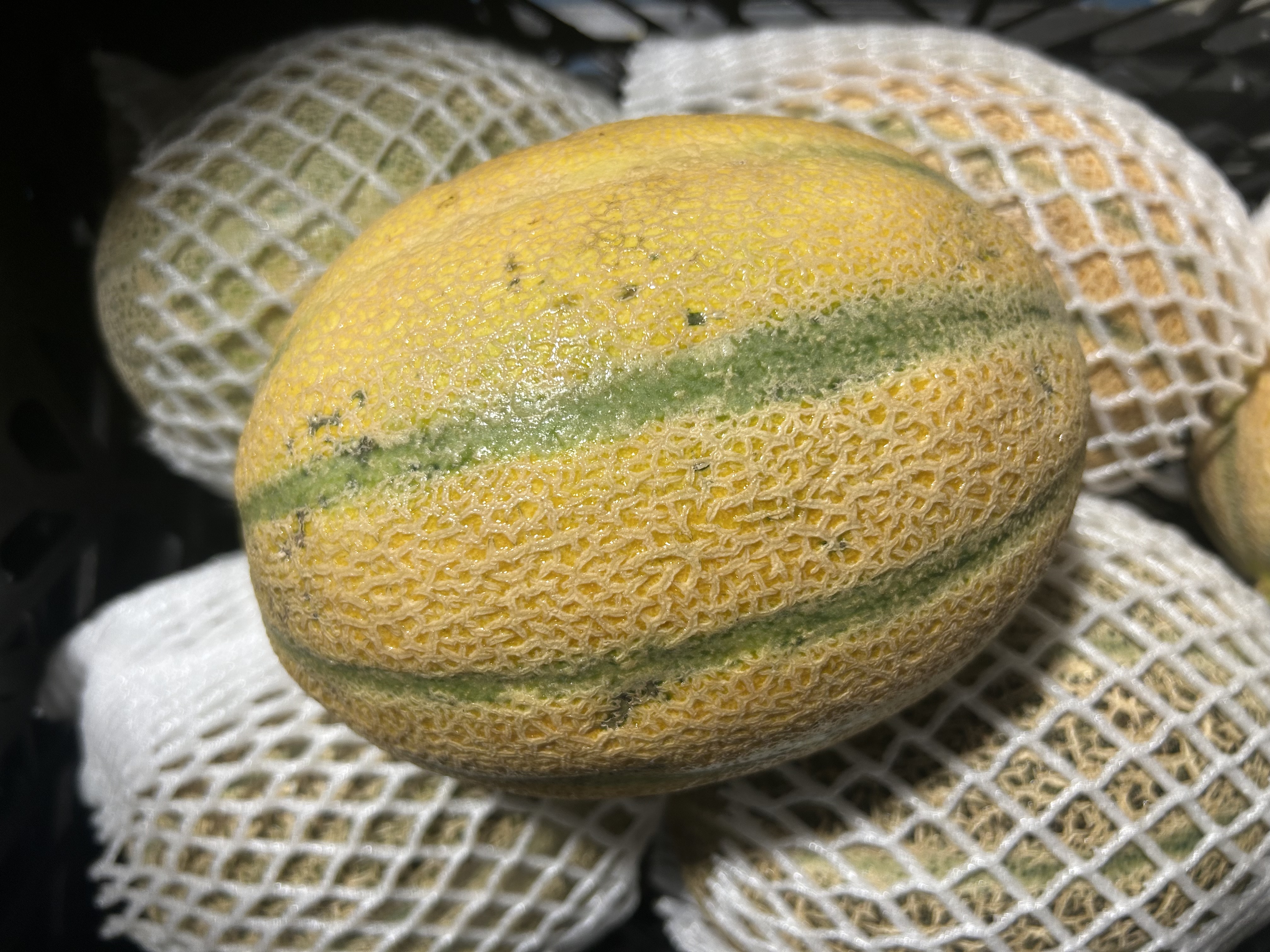 Fresh Muskmelon