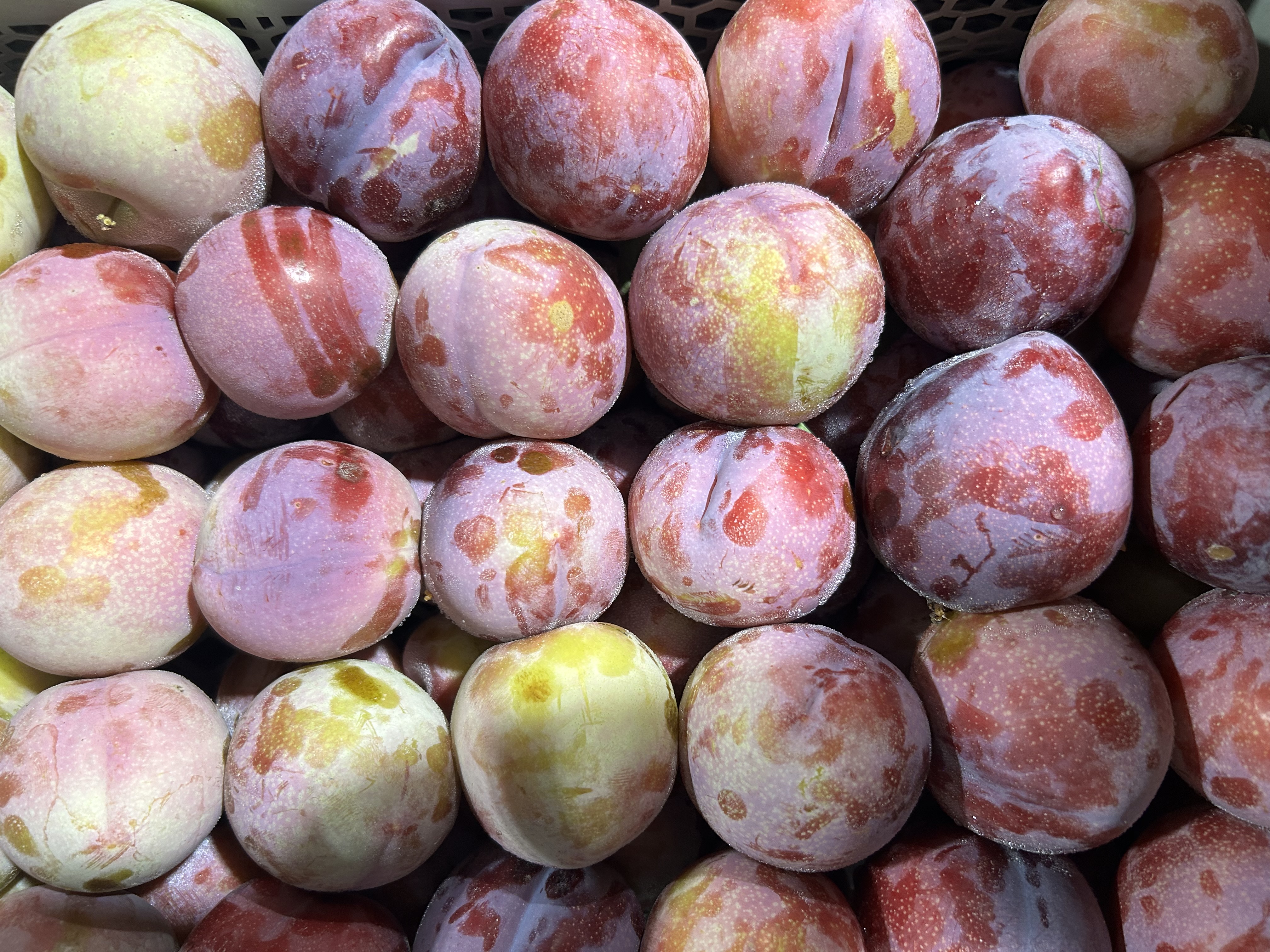 Fresh Plums